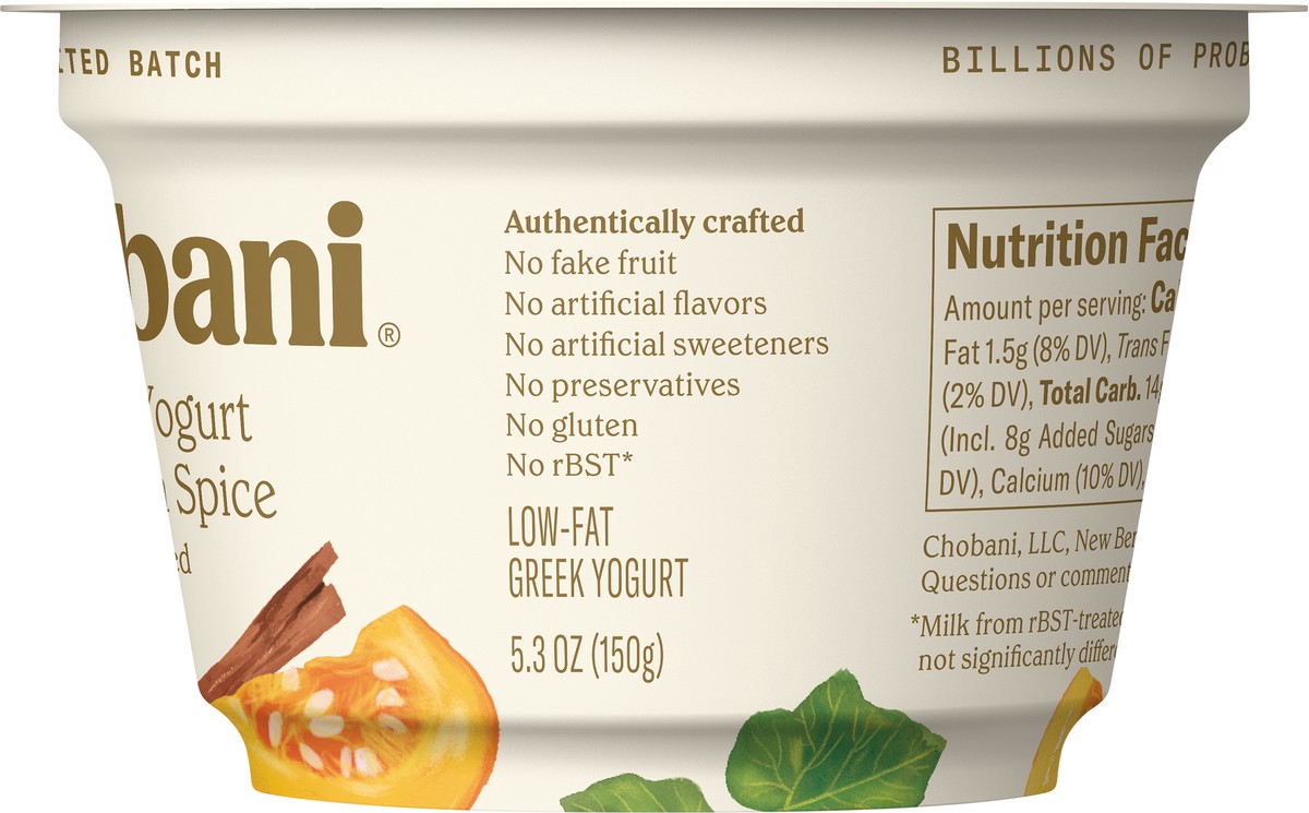 slide 6 of 7, Chobani Pumpkin & Spice Greek Yogurt, 5.3 oz