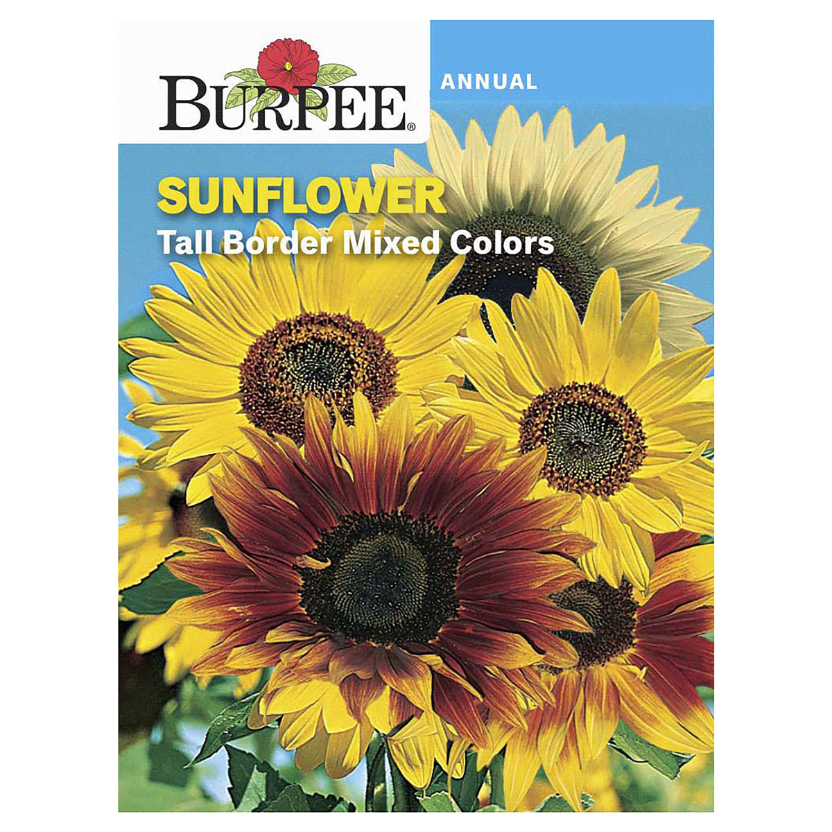 slide 1 of 5, Burpee Sunflower Tall Border Mix Seeds, 1 ct