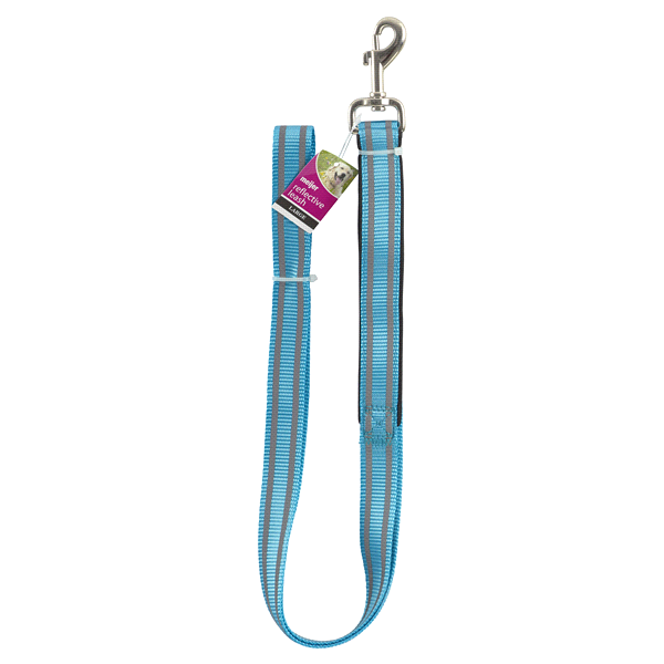 slide 1 of 1, Meijer Reflective Dog Leash, Large, Blue, LG