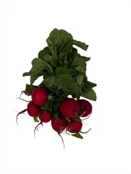 Radish Bunch