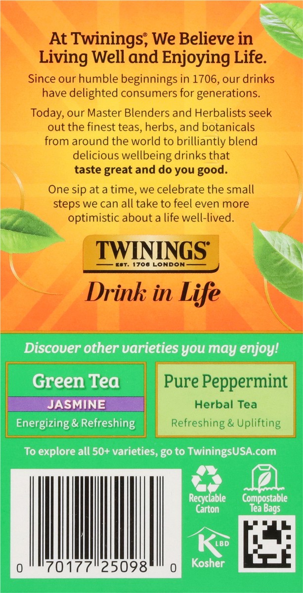 slide 7 of 16, Twinings Mint Flavoured Green Tea - 20 ct, 20 ct