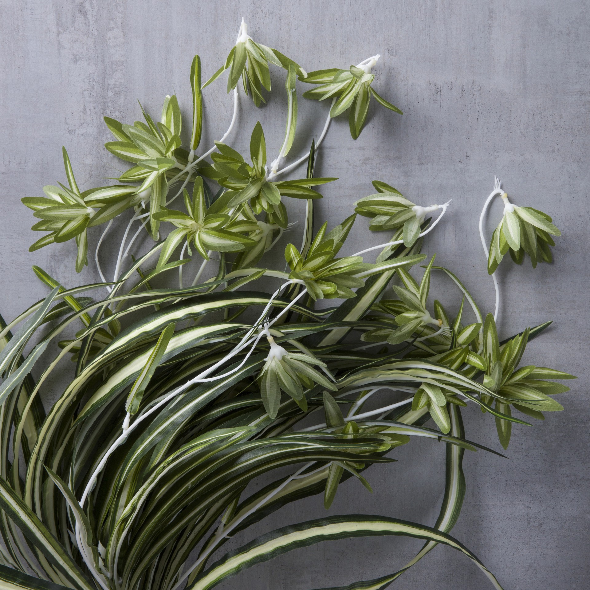 slide 3 of 4, Variegated Spider Bush Classic Greenery Collection By Ashland, 19 in