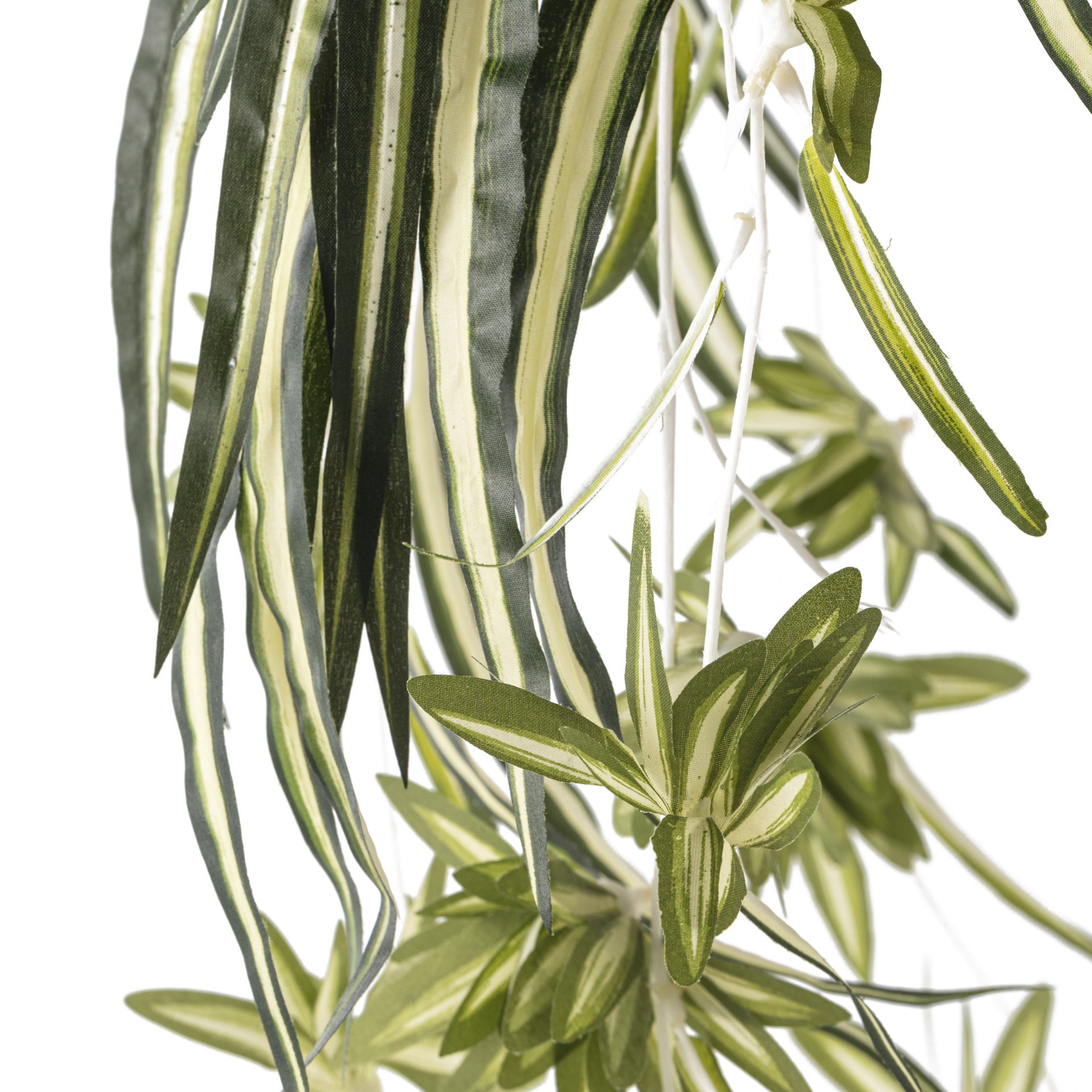 slide 2 of 4, Variegated Spider Bush Classic Greenery Collection By Ashland, 19 in