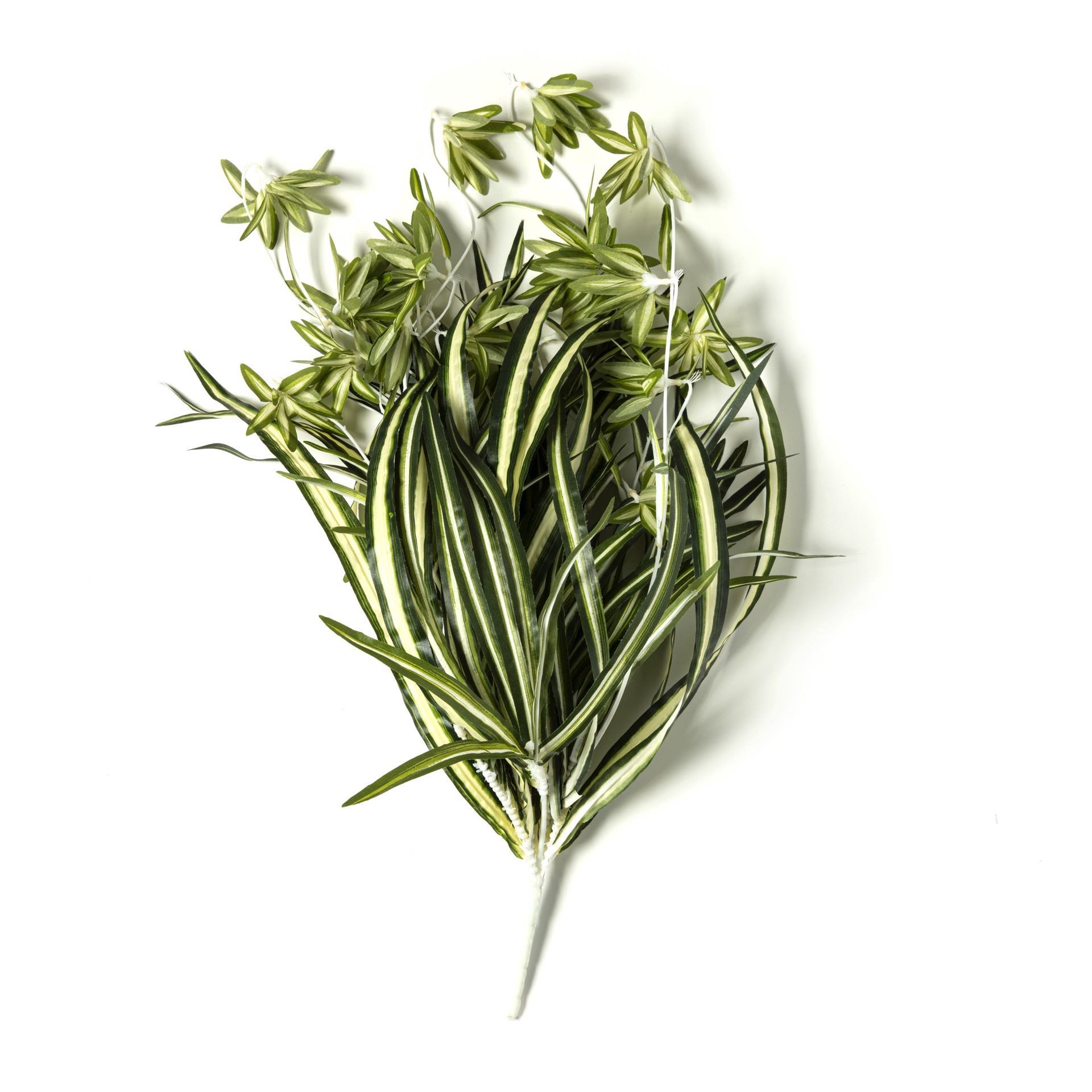 slide 4 of 4, Variegated Spider Bush Classic Greenery Collection By Ashland, 19 in