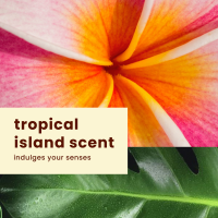 slide 5 of 22, Hawaiian Tropic Silk Hydration Weightless Face Sunscreen - SPF 30 - 1.7oz, 30 ct; 1.7 oz
