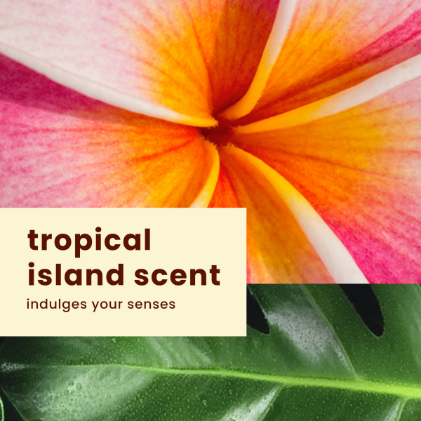 slide 6 of 22, Hawaiian Tropic Silk Hydration Weightless Face Sunscreen - SPF 30 - 1.7oz, 30 ct; 1.7 oz