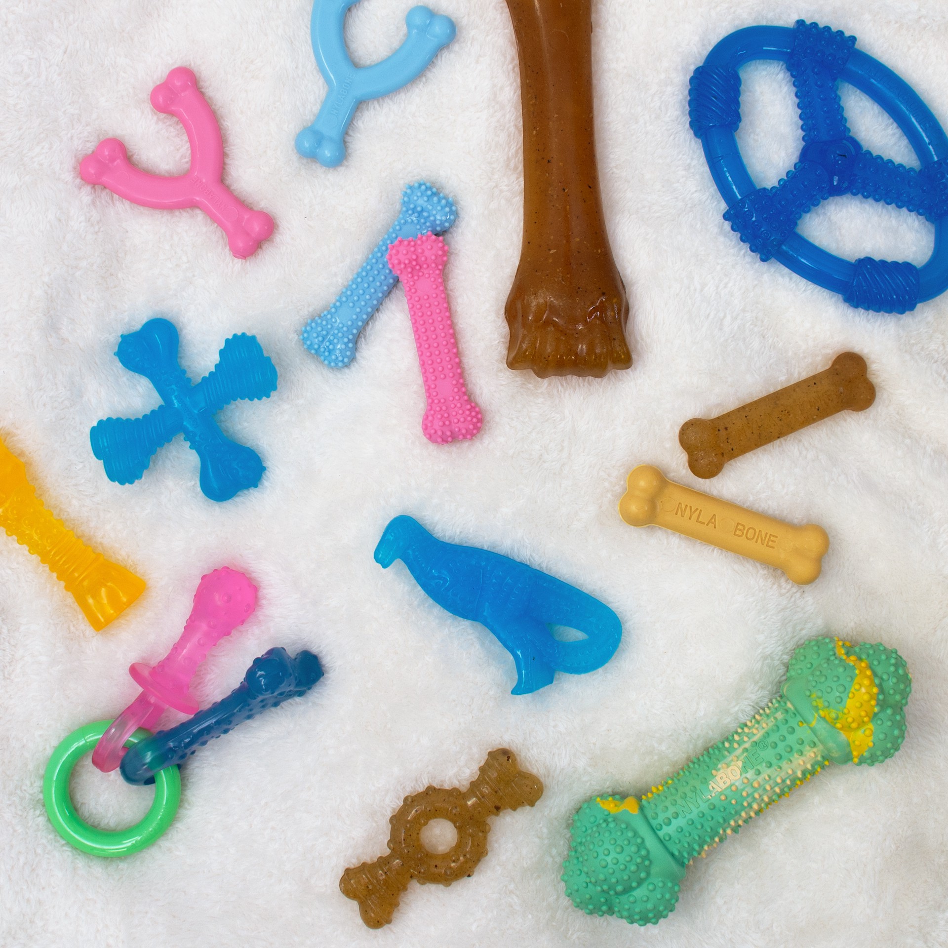 slide 10 of 10, Nylabone Puppy Chew Spin Tug & Play Toy Peanut Butter Blue Medium/Wolf - Up to 35 lbs.(1 Count), 1 ct