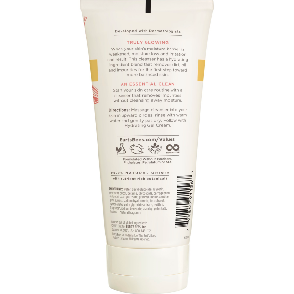 slide 4 of 22, Burt's Bees Glowing Gel Cleanser 6 oz, 6 oz