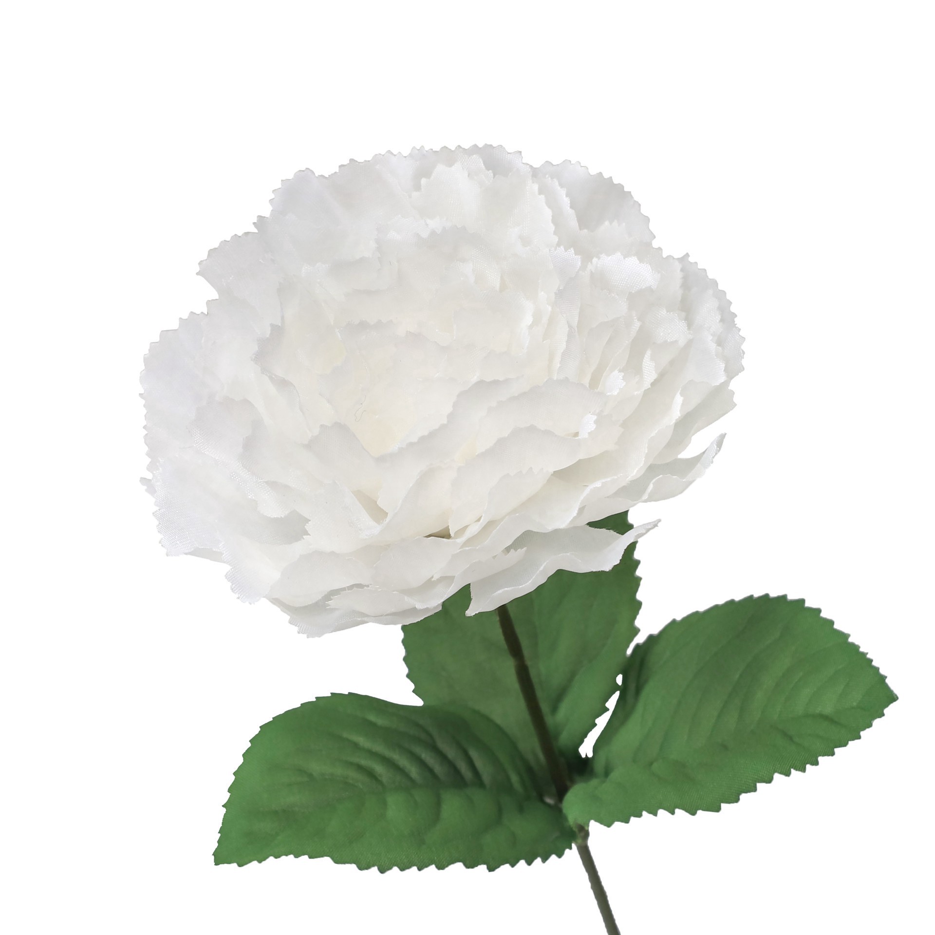 slide 2 of 3, 18" Cream Carnation Bush By Ashland, 9 in x 9 in x 18 in