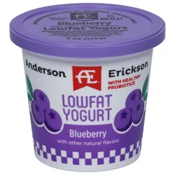 Anderson Erickson Dairy Lowfat Blueberry Yogurt 6 oz