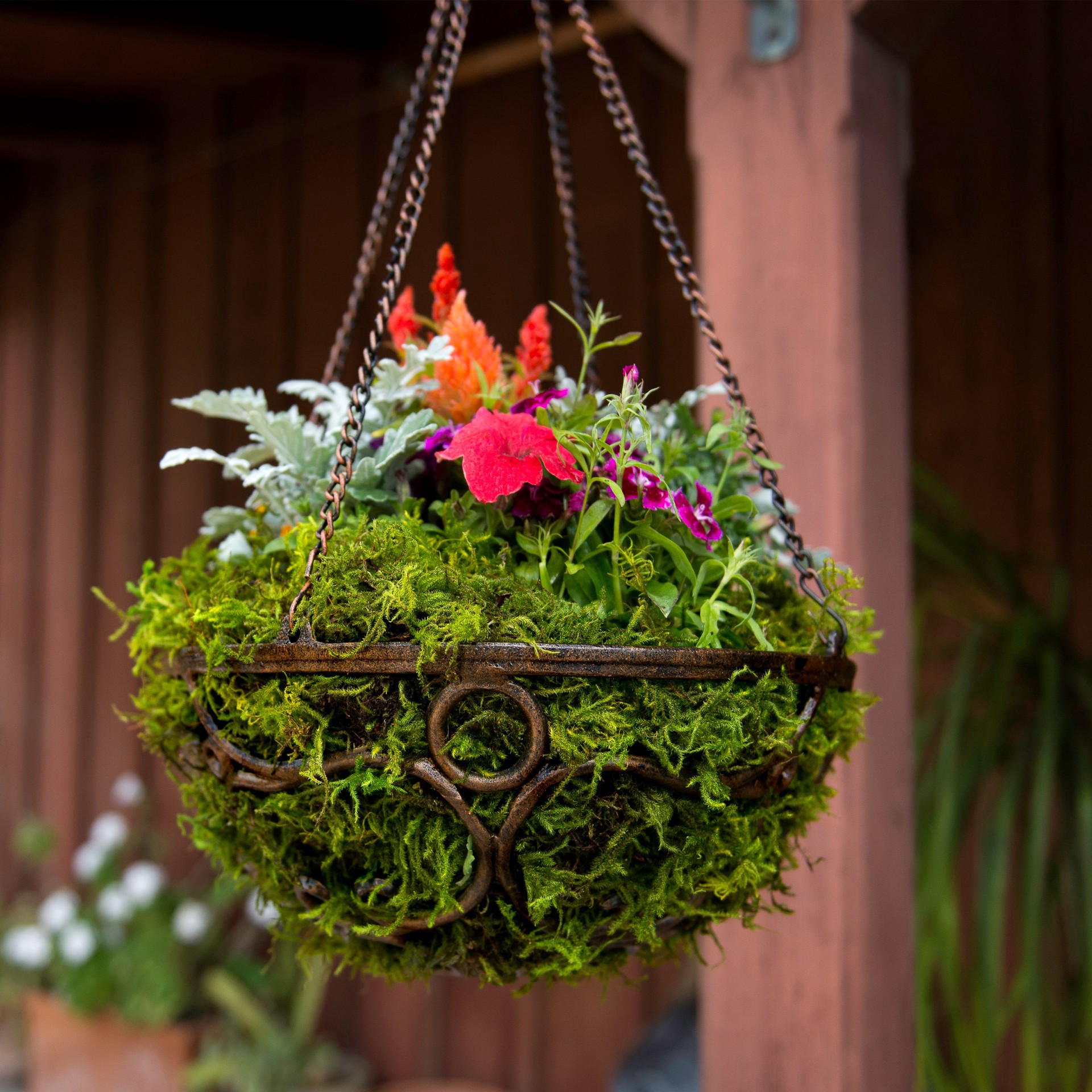 slide 5 of 6, Supermoss Preserved Forest Moss, 20 in x 2 in x 14 in