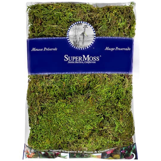 slide 1 of 6, Supermoss Preserved Forest Moss, 20 in x 2 in x 14 in
