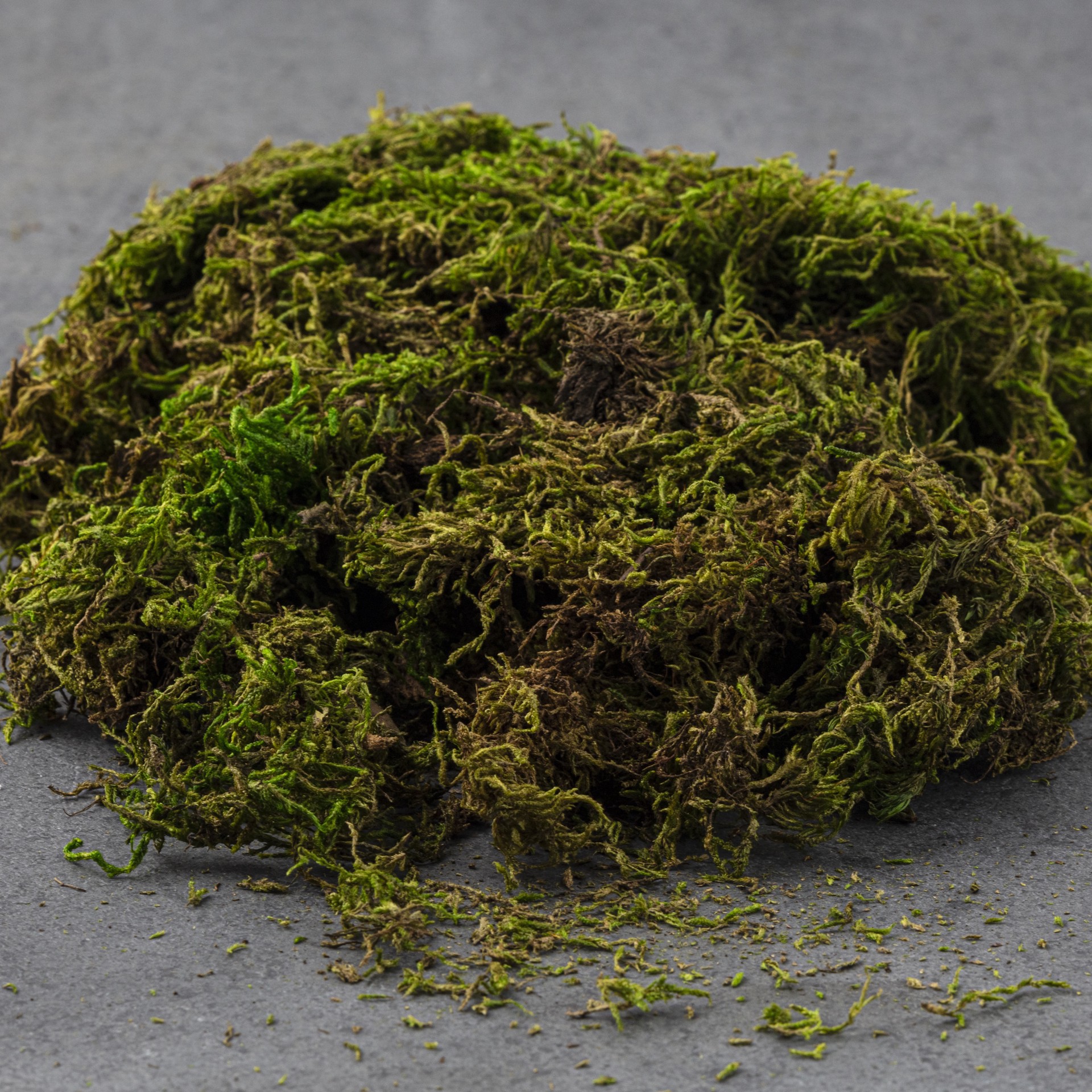 slide 2 of 6, Supermoss Preserved Forest Moss, 20 in x 2 in x 14 in