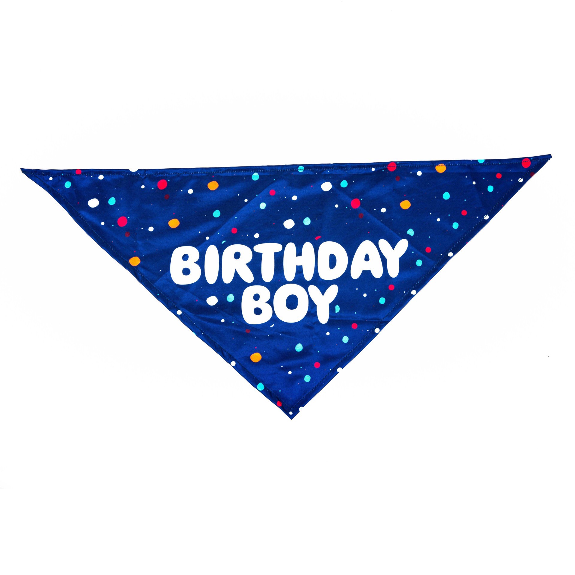 slide 1 of 1, Woof & Whiskers Birthday Boy Pet Bandana, 1 ct