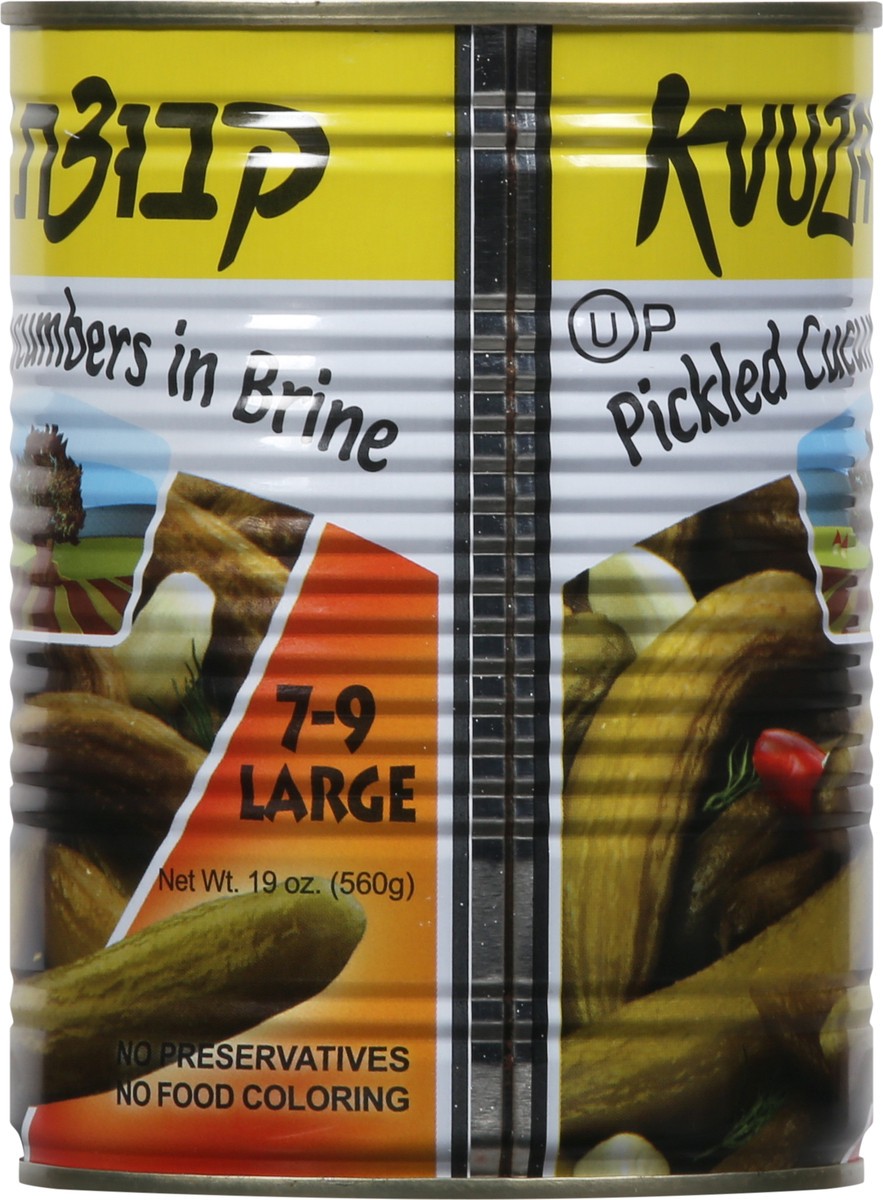 slide 9 of 13, Kvuzat Yavne Large Pickled Cucumbers in Brine Large 19 oz, 19 oz