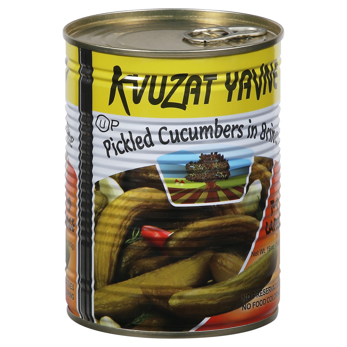 slide 12 of 13, Kvuzat Yavne Large Pickled Cucumbers in Brine Large 19 oz, 19 oz