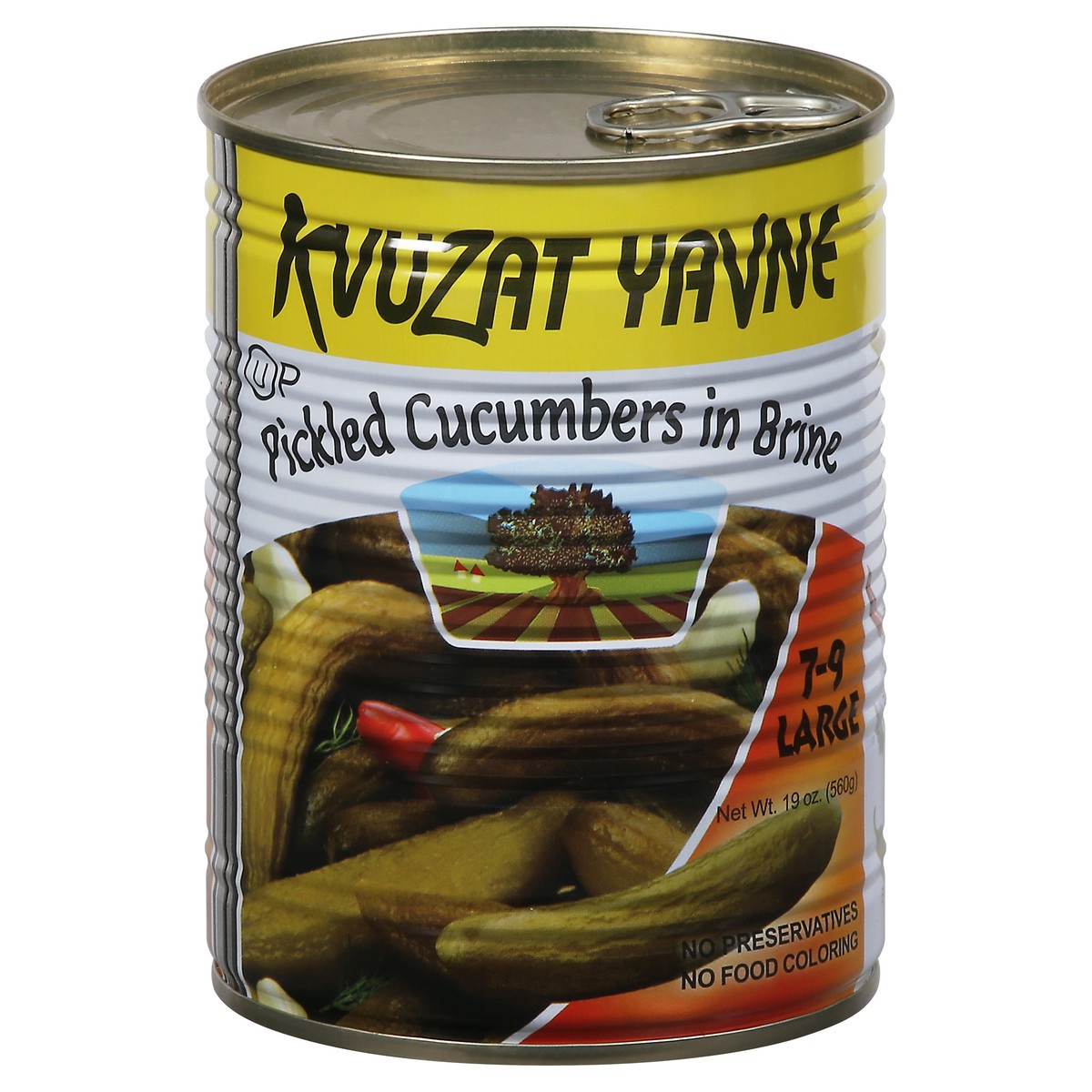 slide 8 of 13, Kvuzat Yavne Large Pickled Cucumbers in Brine Large 19 oz, 19 oz
