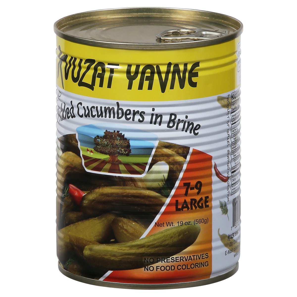 slide 11 of 13, Kvuzat Yavne Large Pickled Cucumbers in Brine Large 19 oz, 19 oz