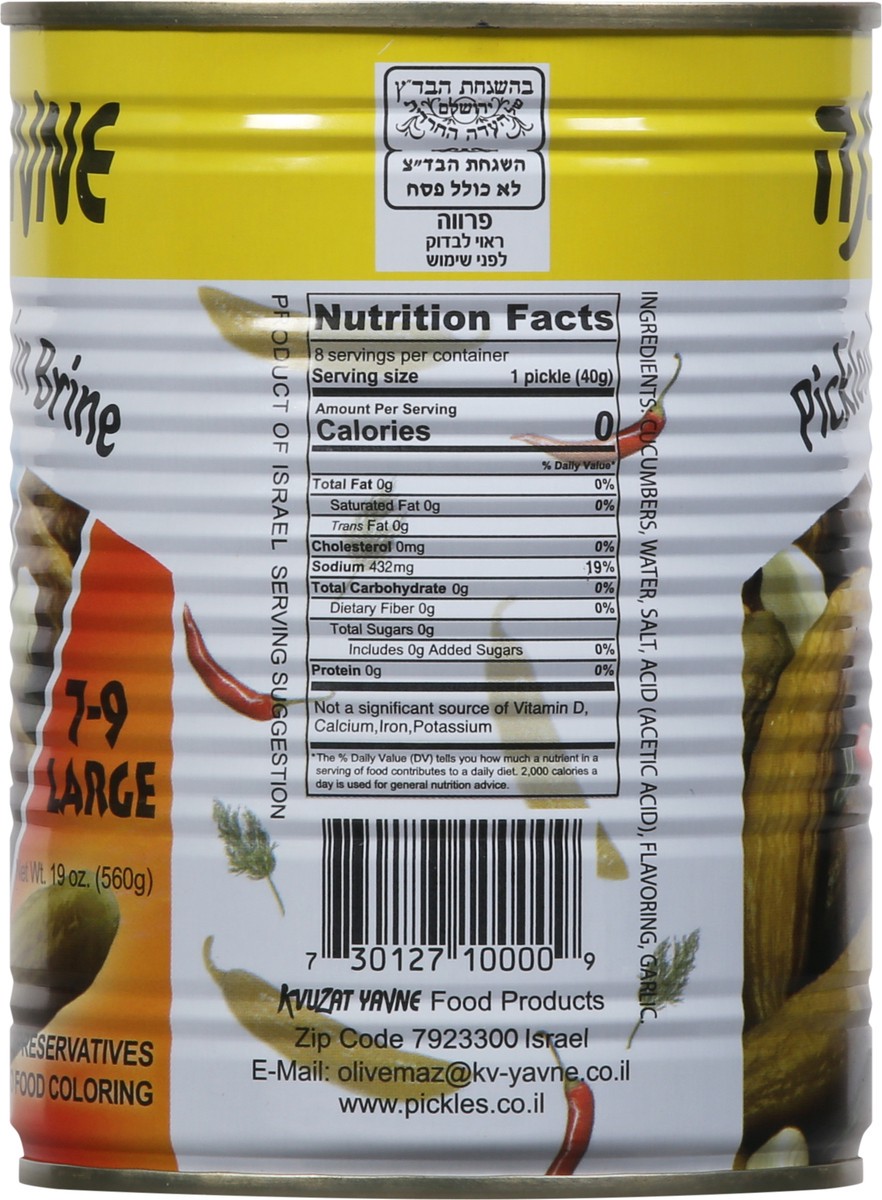 slide 7 of 13, Kvuzat Yavne Large Pickled Cucumbers in Brine Large 19 oz, 19 oz