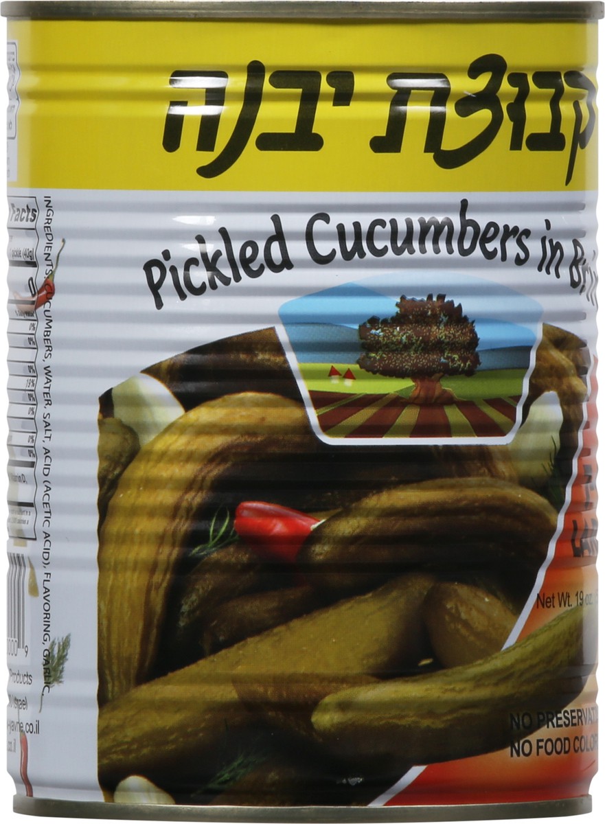 slide 10 of 13, Kvuzat Yavne Large Pickled Cucumbers in Brine Large 19 oz, 19 oz