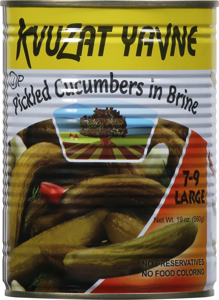 slide 4 of 13, Kvuzat Yavne Large Pickled Cucumbers in Brine Large 19 oz, 19 oz