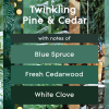 slide 13 of 29, Glade Small Twin Candle, Scented Candles, Pine & Cedar, Pack of 2, 2 ct