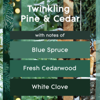 slide 3 of 29, Glade Small Twin Candle, Scented Candles, Pine & Cedar, Pack of 2, 2 ct