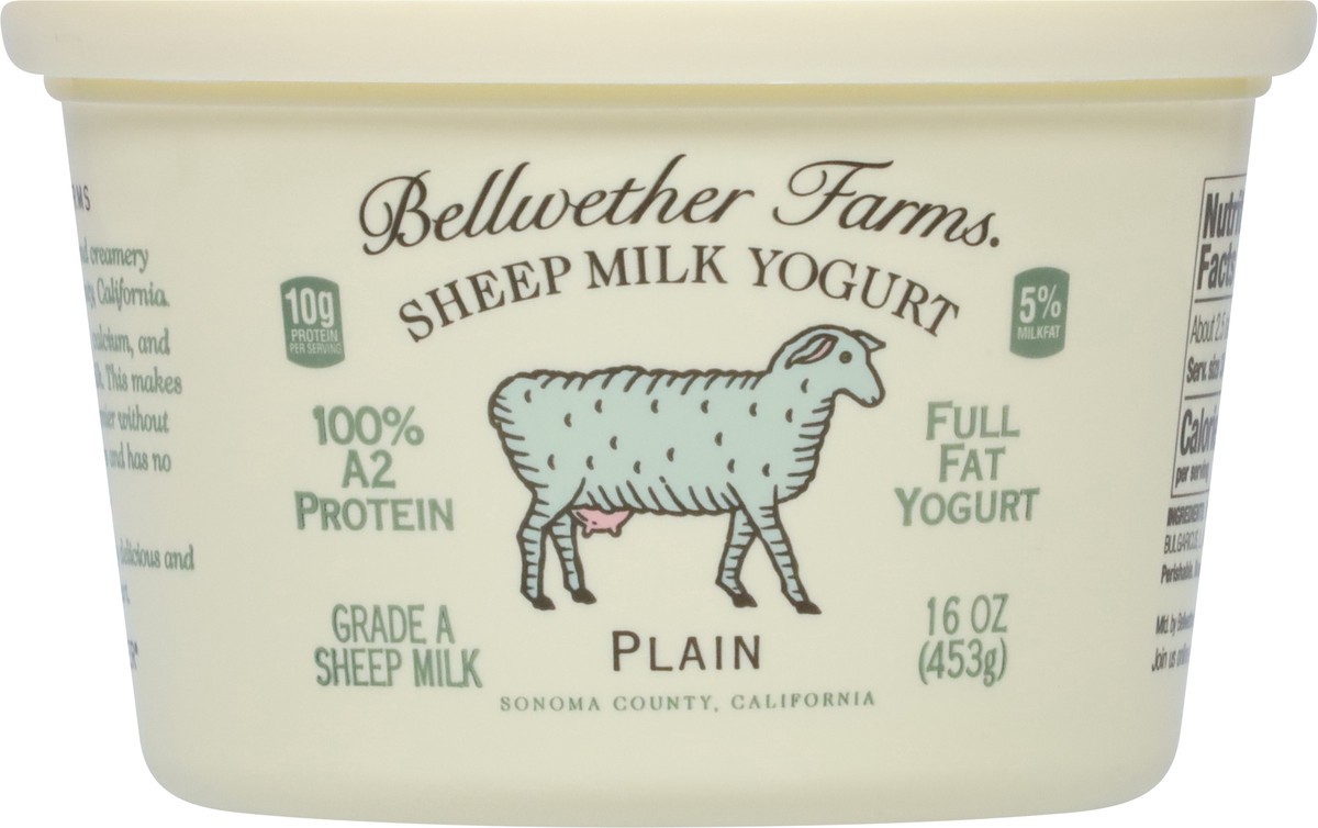 slide 6 of 9, Bellwether Farms Sheep Milk Plain Yogurt, 16 oz