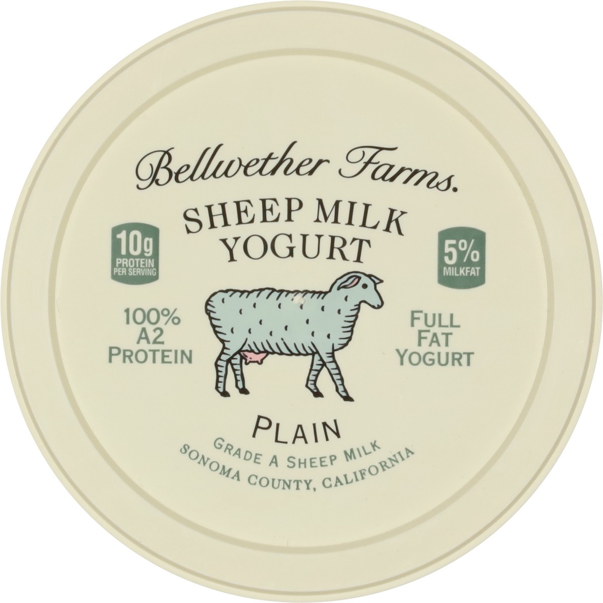 slide 3 of 9, Bellwether Farms Sheep Milk Plain Yogurt, 16 oz