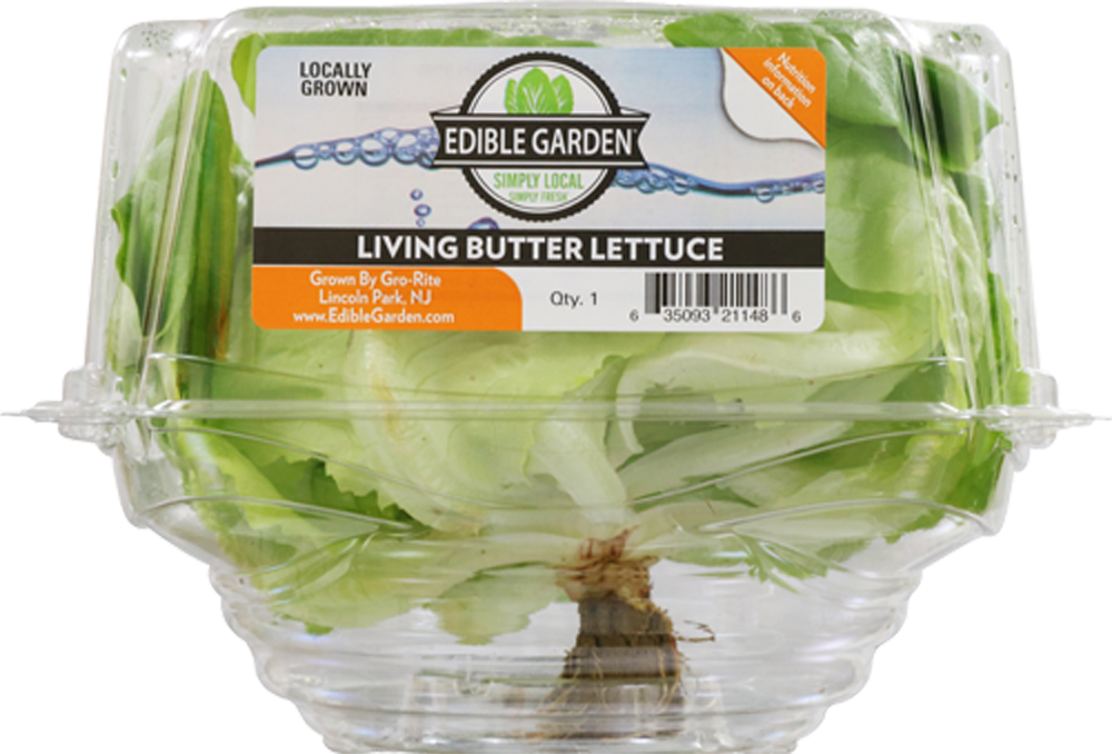 slide 1 of 1, Edible Garden 100% Hydroponically Grown Butterhead Lettuce, 1 ct