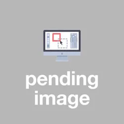 Premier Stylz Straw Stirrers