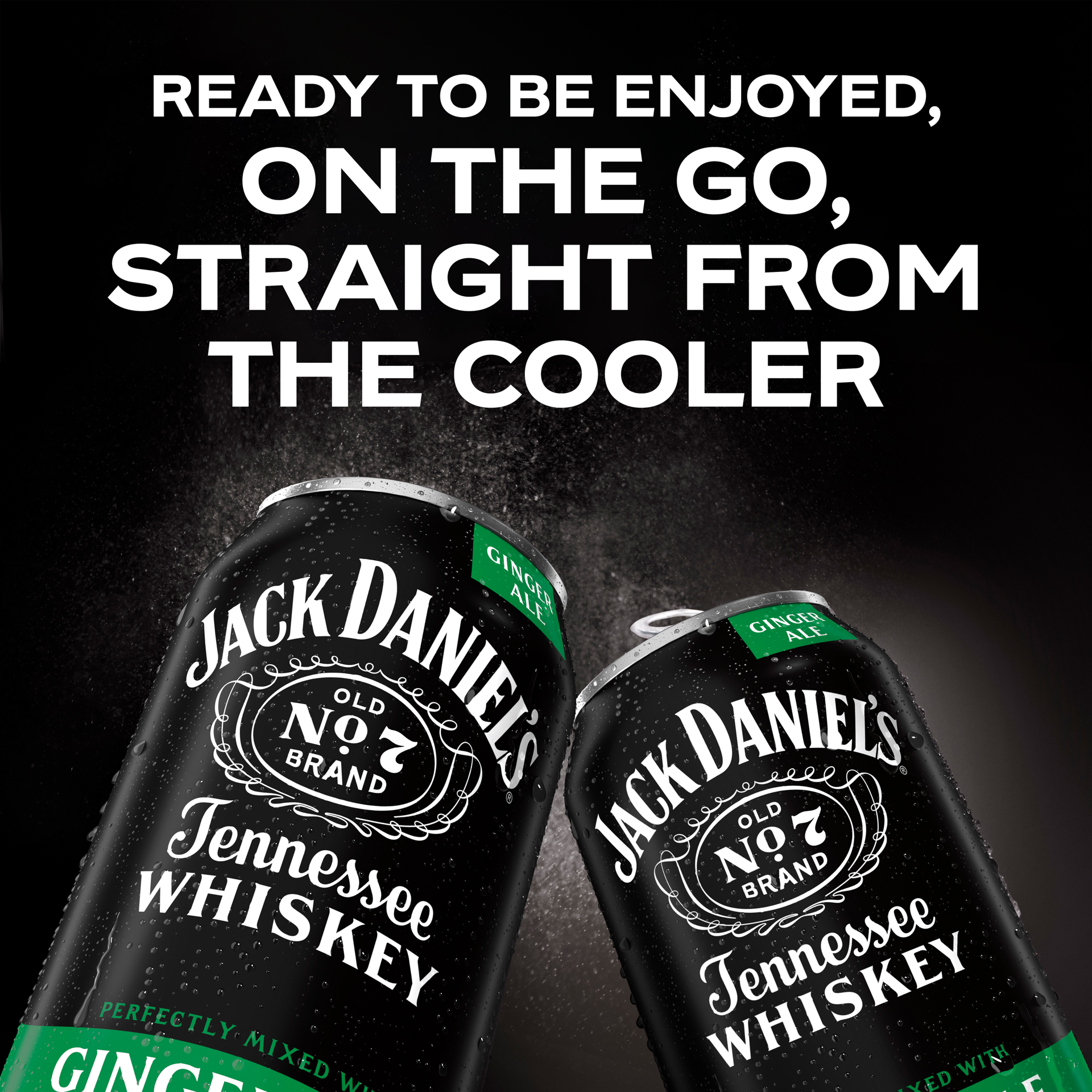 slide 4 of 5, Jack Daniel's Tennessee Whiskey Perfectly Mixed with Ginger Ale 4 - 355 ml Cans, 4 ct; 12 oz