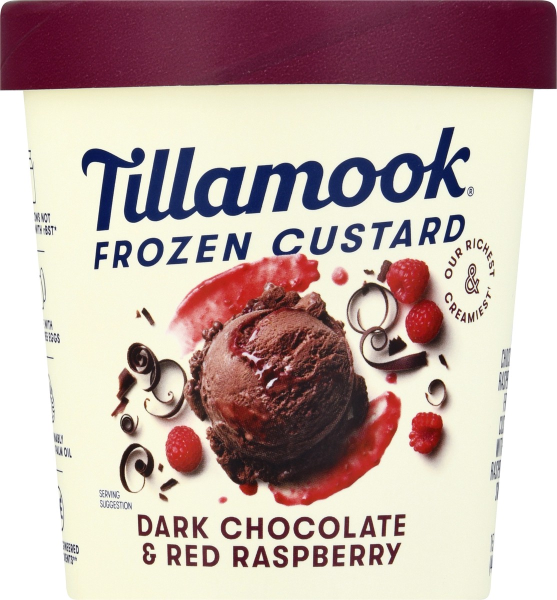 slide 6 of 9, Tillamook Dark Chocolate & Red Raspberry Frozen Custard Dessert, 381.88 g