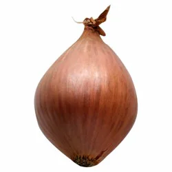 Shallots