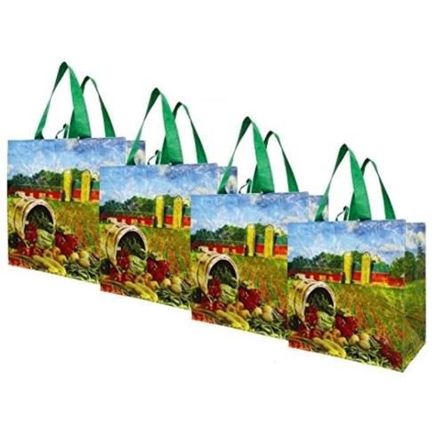 slide 1 of 1, Earth Wise Reusable Bag, 1 ct