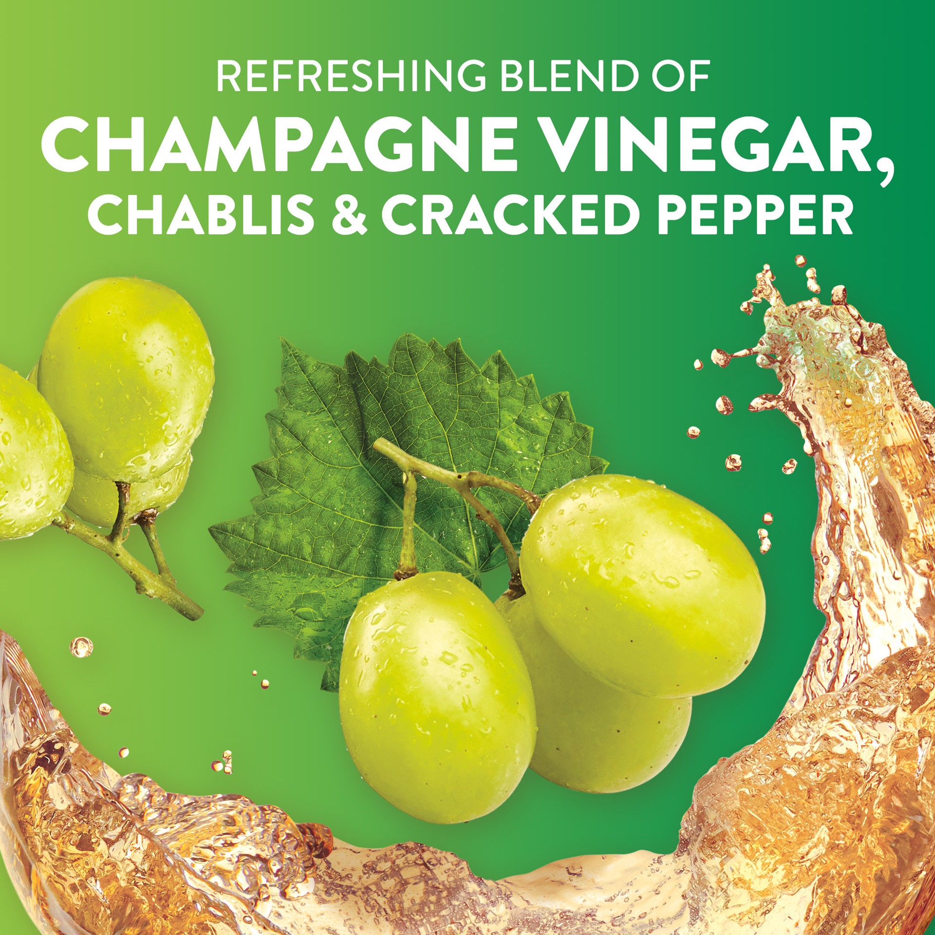 slide 3 of 5, Wish-Bone Champagne Vinaigrette Salad Dressing, 15 fl. oz., 15 fl oz