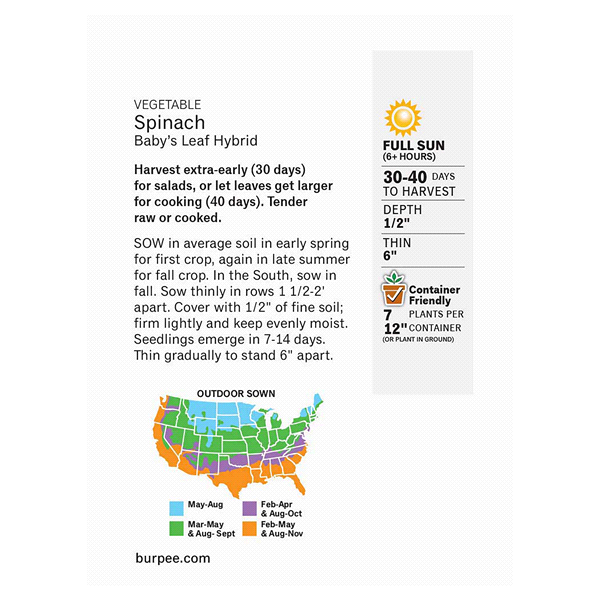 slide 2 of 5, Burpee Spinach Baby's Leaf Hybrid Seeds, 1 ct