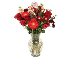 Bloom Haus Vanderpump Crimson Romance Fresh Cut Flower Arrangement in Vase