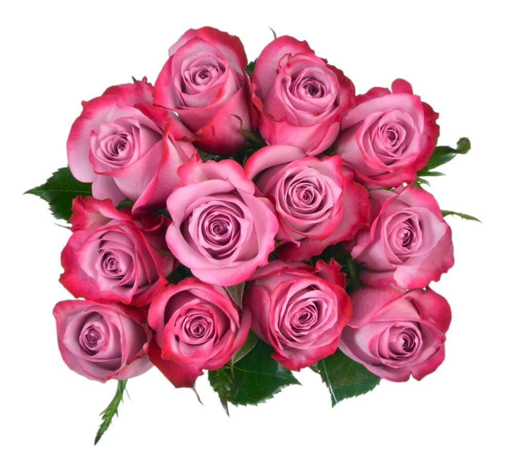 slide 1 of 1, BLOOM HAUS Lavender Roses, 12 ct