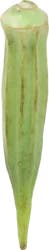 Okra Chinese