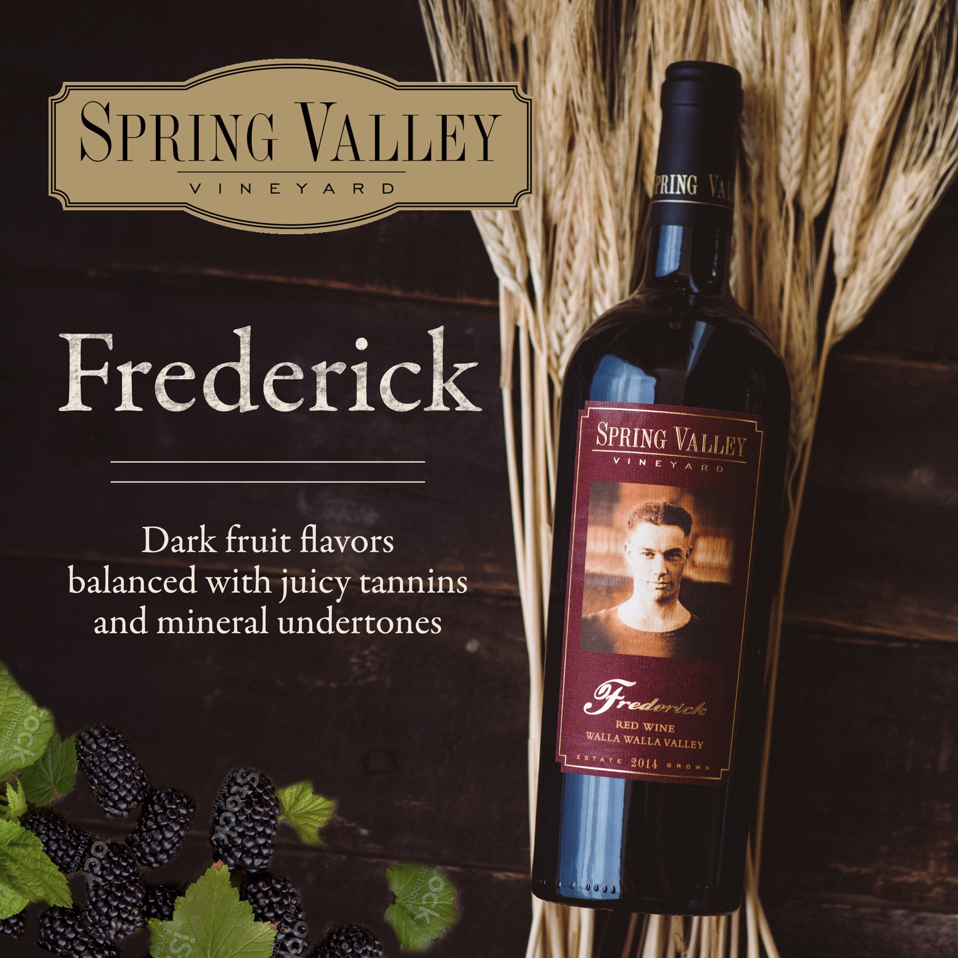 slide 4 of 5, Spring Valley Frederick Red Blend Wine, 750 mL Bottle, 750 ml
