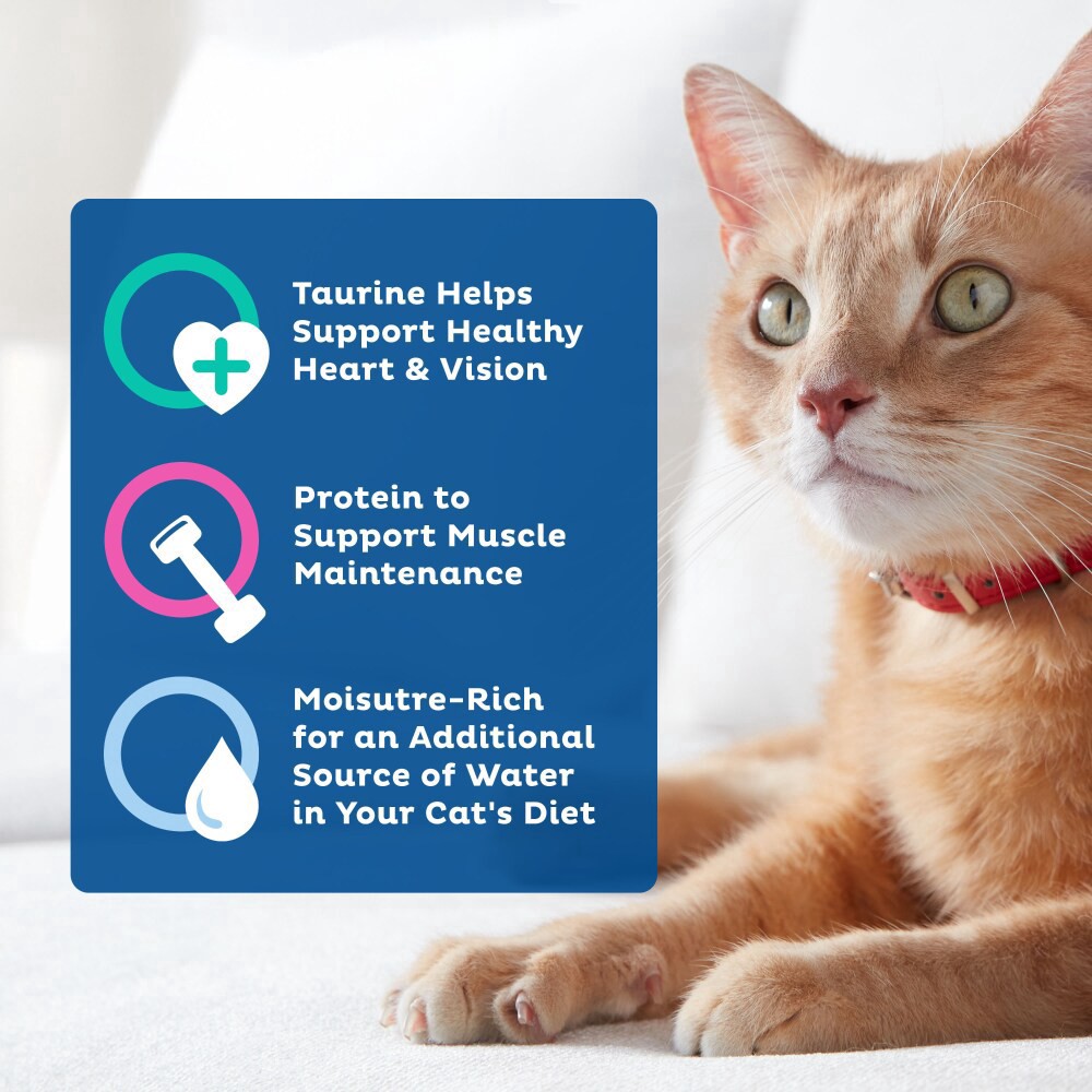 slide 2 of 6, 9Lives Bites Wet Cat Food with Real Chicken & Fish in Gravy, 5.5 oz. Can, 5.5 oz