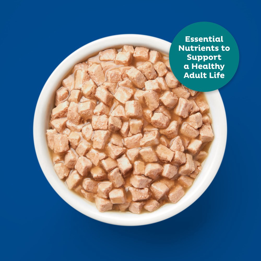 slide 5 of 6, 9Lives Bites Wet Cat Food with Real Chicken & Fish in Gravy, 5.5 oz. Can, 5.5 oz