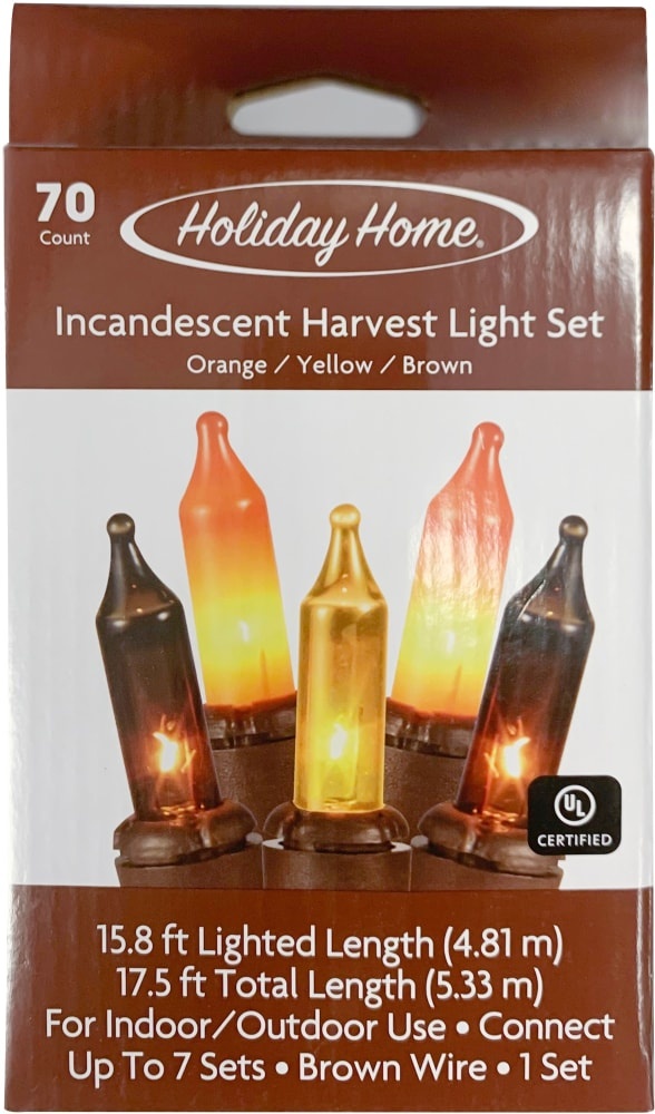 slide 1 of 1, Holiday Home Incandescent Harvest String Lights, 17.5 ft