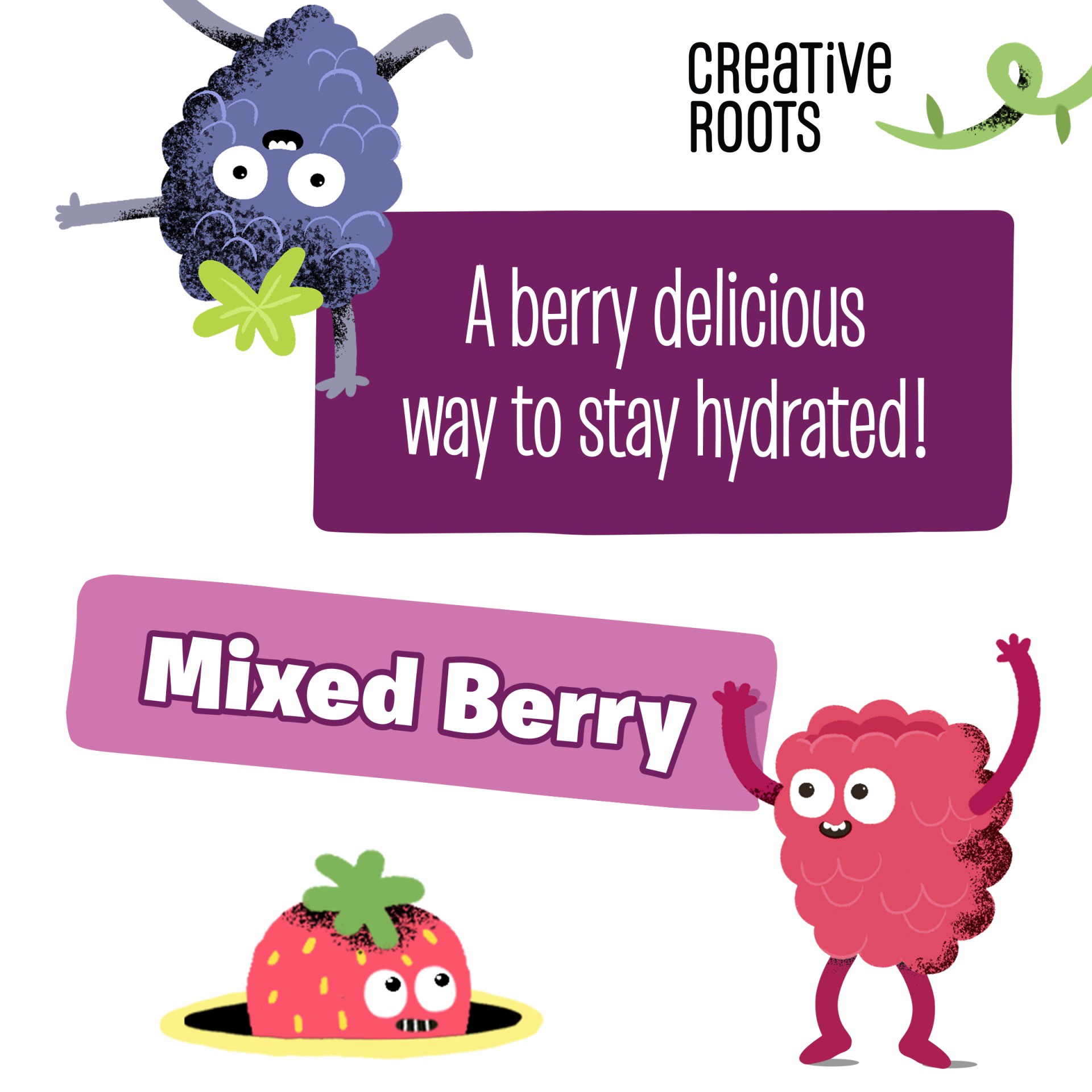 slide 6 of 13, Creative Roots Mixed Berry Naturally Flavored Coconut Water Beverage, 8.5 fl oz Bottle, 8.50 fl oz