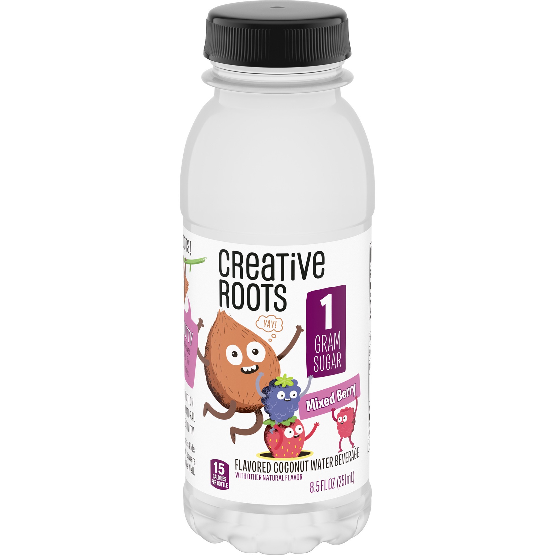 slide 1 of 13, Creative Roots Mixed Berry Naturally Flavored Coconut Water Beverage, 8.5 fl oz Bottle, 8.50 fl oz