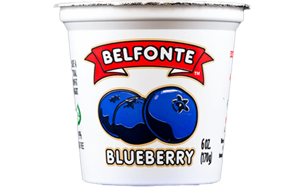 slide 1 of 1, Belfonte Lowfat Blueberry Yogurt, 6 oz