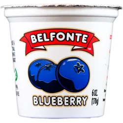 Belfonte Lowfat Blueberry Yogurt