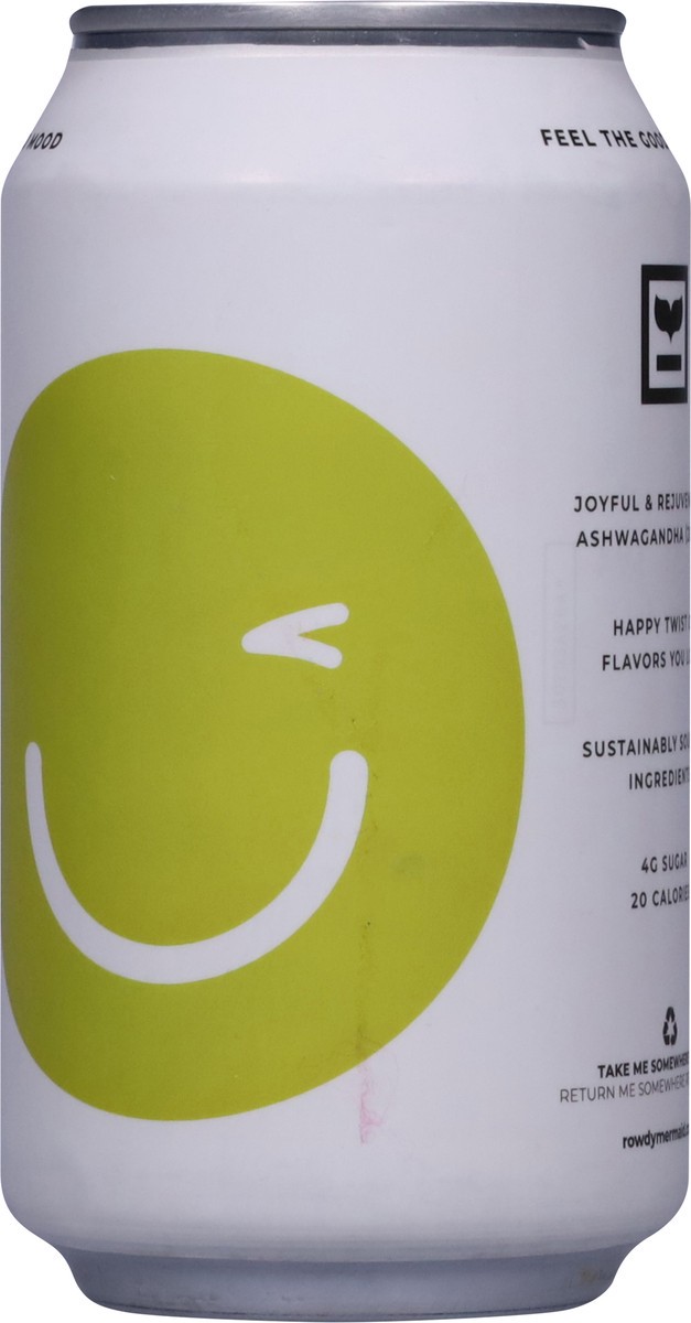 slide 7 of 13, Rowdy Mermaid Ashwagandha Lemon Lime Soda - 12 fl oz, 12 fl oz