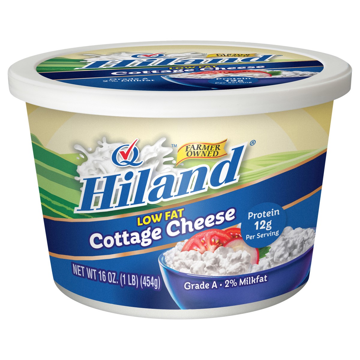 slide 1 of 14, Hiland Dairy Cottage Cheese 16 oz, 16 oz